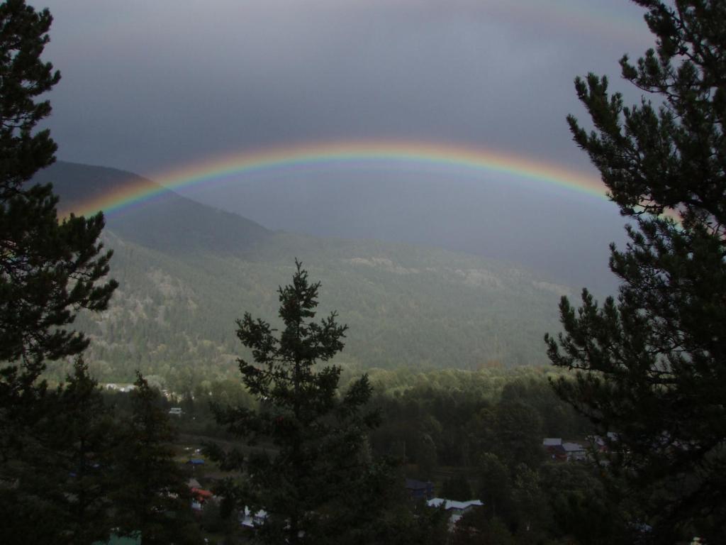 Greenwood Country Inn Pemberton Oda fotoğraf